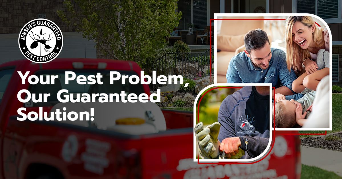 Pest Control in Salt Lake City Jensen’s Guaranteed Pest Control